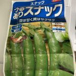 スナックエンドウ　231231